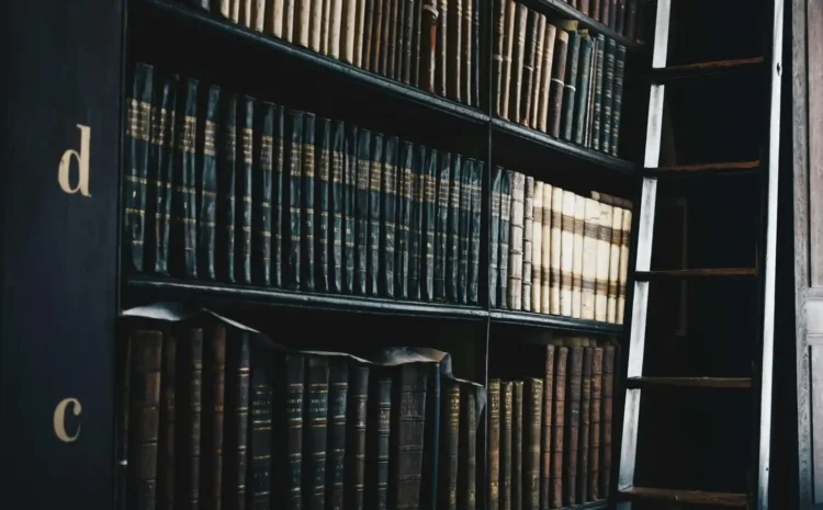  دليل قصير للشركات والأفراد